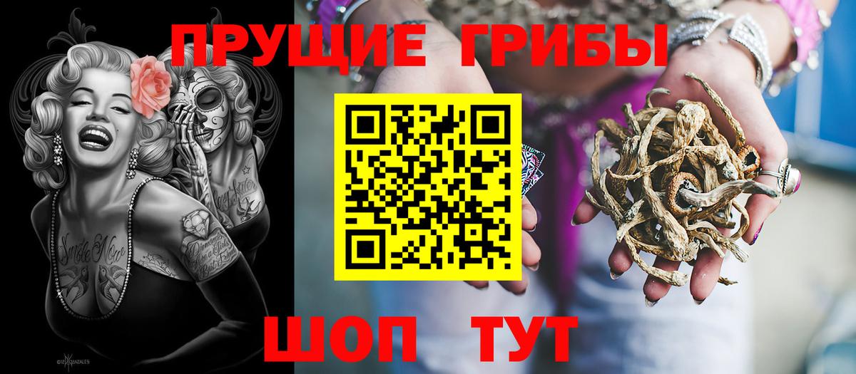 цена наркотик  Псилоцибиновые грибы ЛСД  Вход с VPN  Сухой Лог 
